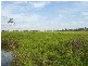 Rosedale QLD 4674