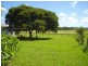 Lowmead QLD 4676