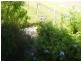 Lowmead QLD 4676