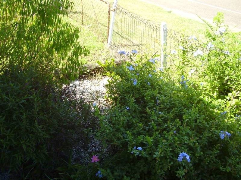 Lowmead QLD 4676