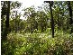 Mount Maria QLD 4674