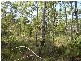 Mount Maria QLD 4674