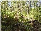 Mount Maria QLD 4674
