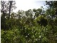 Mount Maria QLD 4674