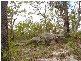 Mount Maria QLD 4674