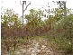 Mount Maria QLD 4674