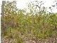 Mount Maria QLD 4674