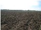 Avondale QLD 4670