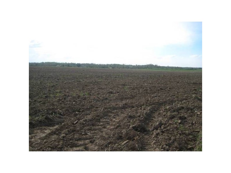 Avondale QLD 4670