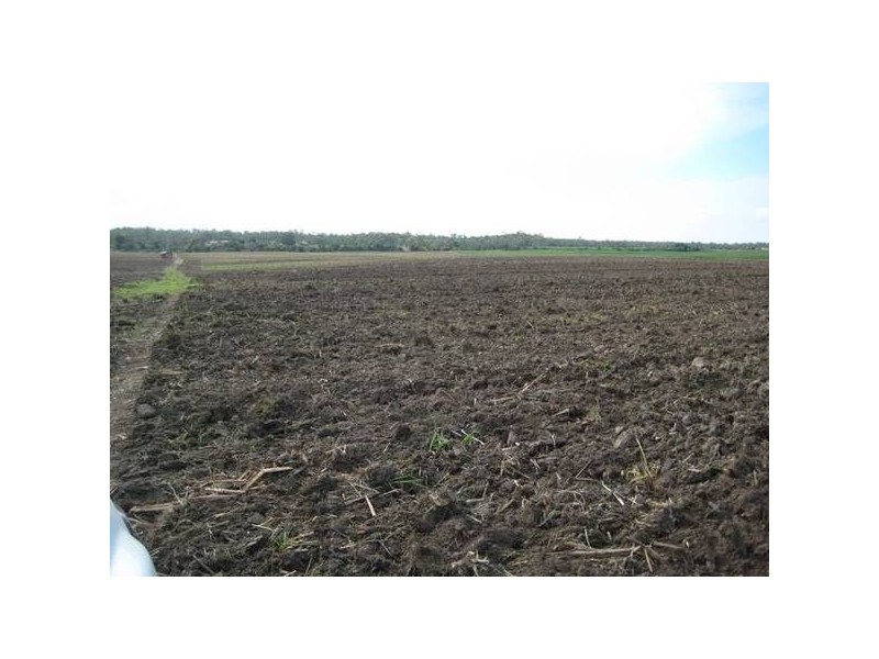 Avondale QLD 4670