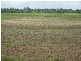 Avondale QLD 4670