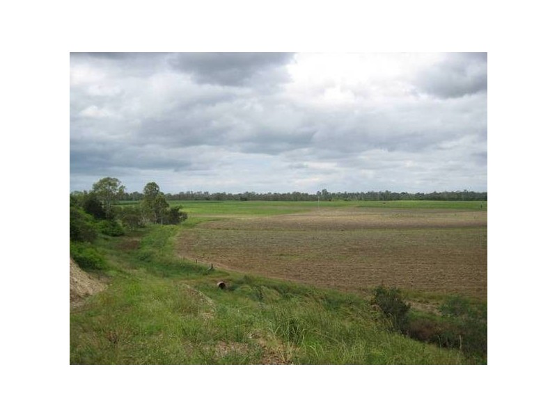 Avondale QLD 4670