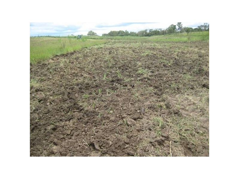 Avondale QLD 4670