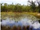 Mount Maria QLD 4674