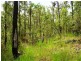 Mount Maria QLD 4674