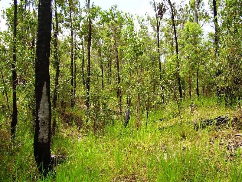 Mount Maria QLD 4674