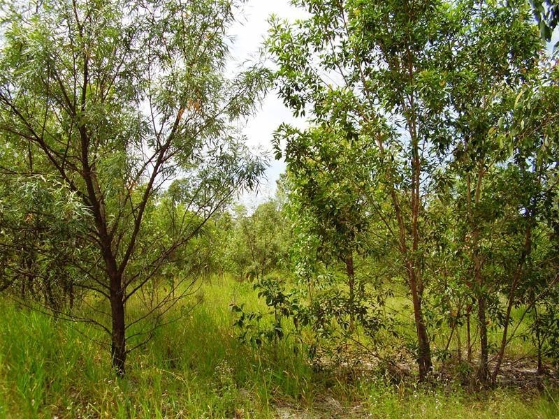 Mount Maria QLD 4674