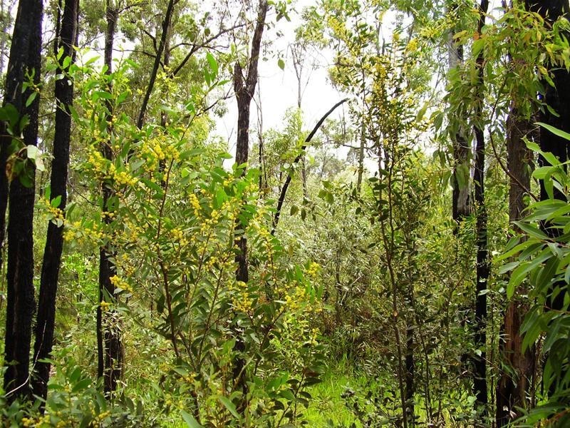 Mount Maria QLD 4674