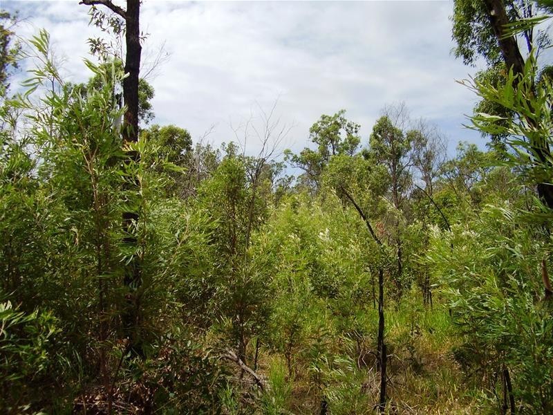 Mount Maria QLD 4674