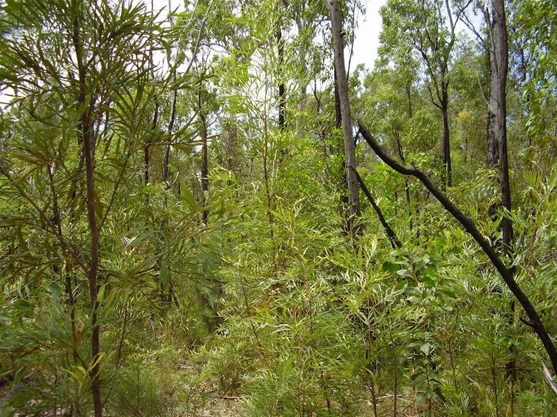 Mount Maria QLD 4674