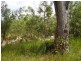 Mount Maria QLD 4674