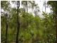 Mount Maria QLD 4674