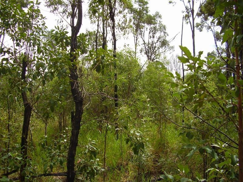 Mount Maria QLD 4674