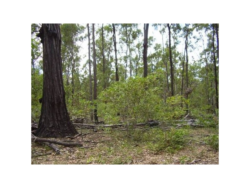 Rosedale QLD 4674