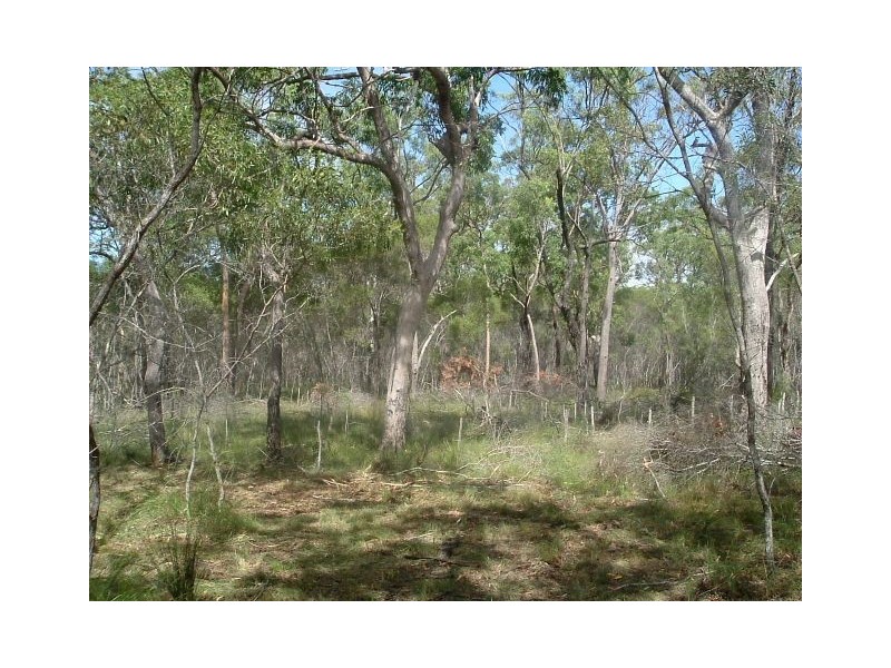 Deepwater QLD 4674
