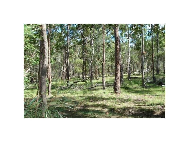 South Kolan QLD 4670