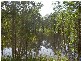 Mount Maria QLD 4674