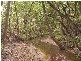 Mount Maria QLD 4674