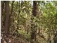 Mount Maria QLD 4674
