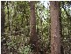 Mount Maria QLD 4674