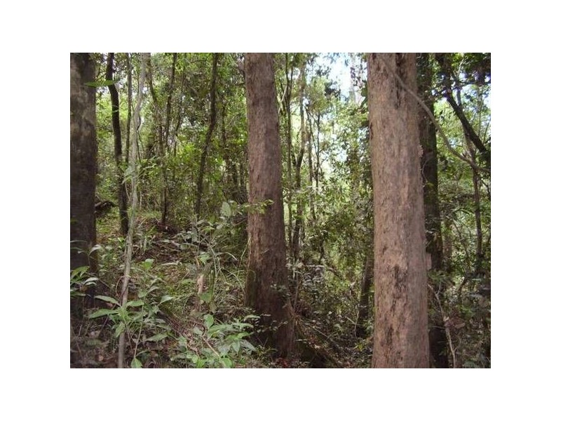 Mount Maria QLD 4674