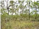 Euleilah QLD 4674