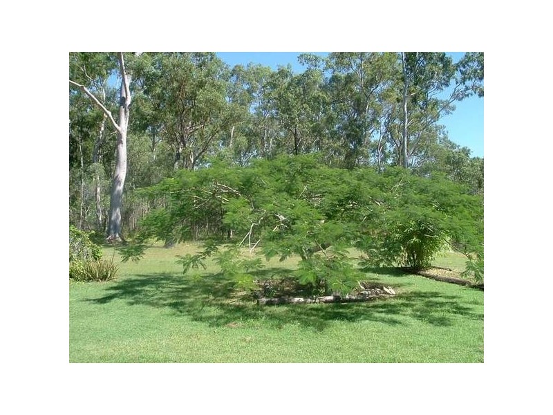 Baffle Creek QLD 4674