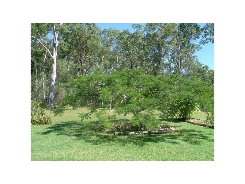 Baffle Creek QLD 4674