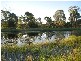 Pine Creek QLD 4670