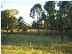 Pine Creek QLD 4670