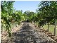 South Kolan QLD 4670