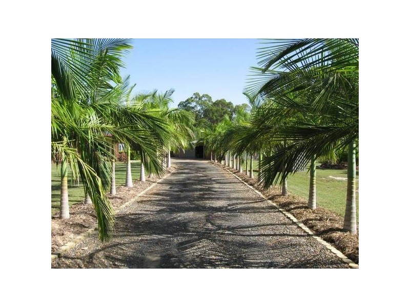 South Kolan QLD 4670