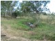 Electra QLD 4670
