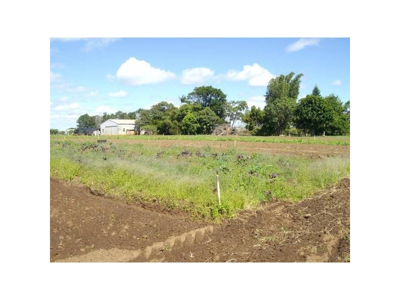 Meadowvale QLD 4670