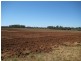 Electra QLD 4670