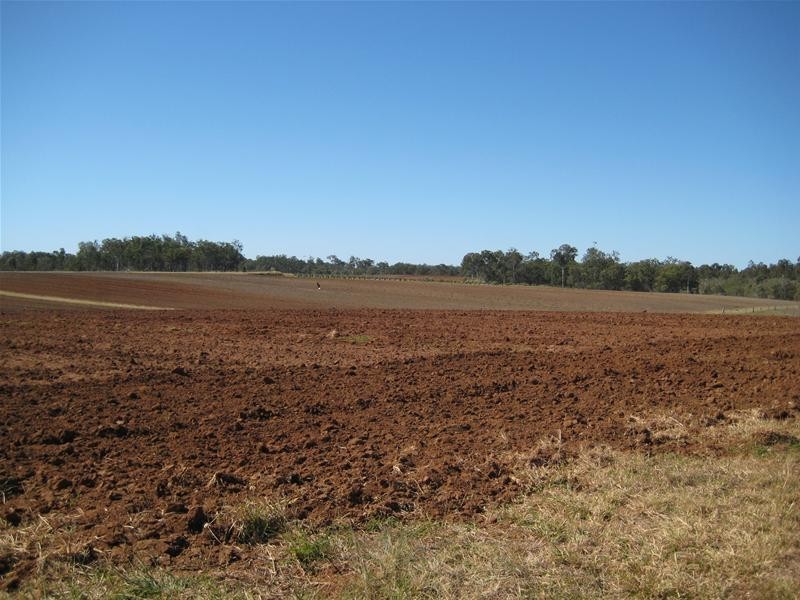 Electra QLD 4670