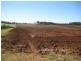 Electra QLD 4670
