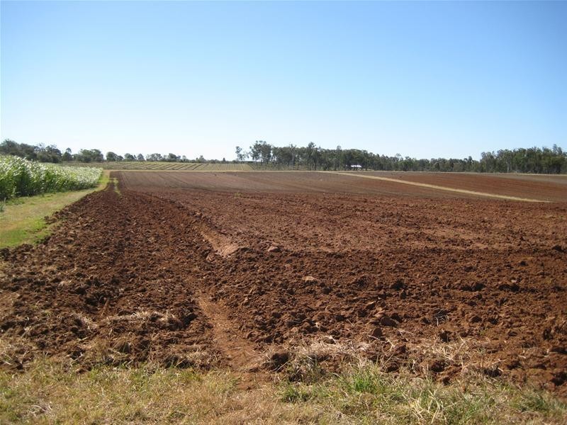 Electra QLD 4670