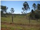 Electra QLD 4670