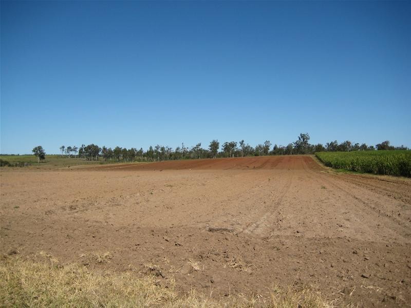 Electra QLD 4670